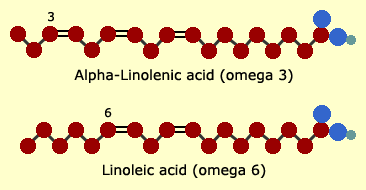 omega3and6