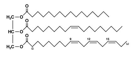 triglyceride-formula.png